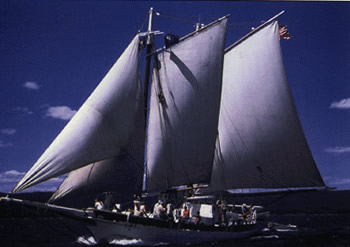 Adirondack Sail Boat