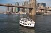 Lucille And The Brooklyn Bridge 