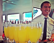 mimosa