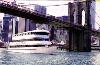 Skyline Princess yacht